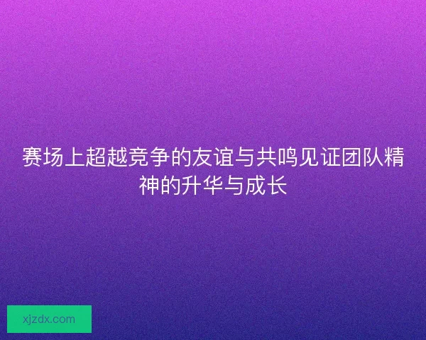 赛场上超越竞争的友谊与共鸣见证团队精神的升华与成长