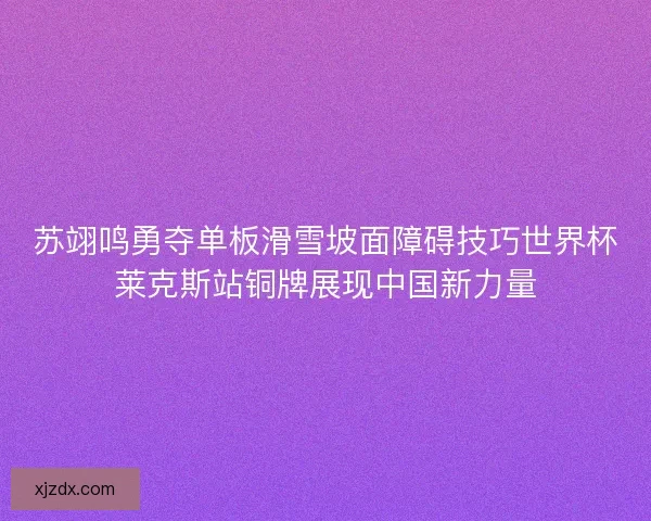 苏翊鸣勇夺单板滑雪坡面障碍技巧世界杯莱克斯站铜牌展现中国新力量